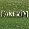 Canevim season 1 English subtitles | Nest