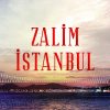 Zalim Istanbul season 1 English subtitles