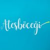 Atesbocegi season 1 English subtitles | Firefly