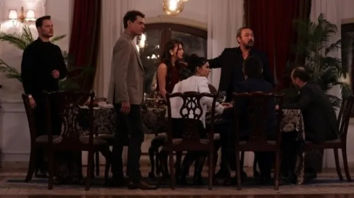 Boundless Love (Hudutsuz Sevda) Episode 50 English subtitles